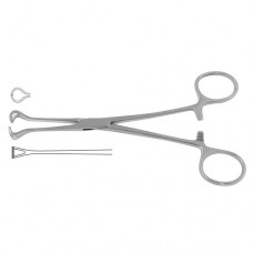 Babcock Intestinal and Tissue Grasping Forceps Stainless Steel, 21 cm - 8 1/4"